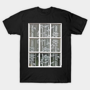 Bamboo Window T-Shirt